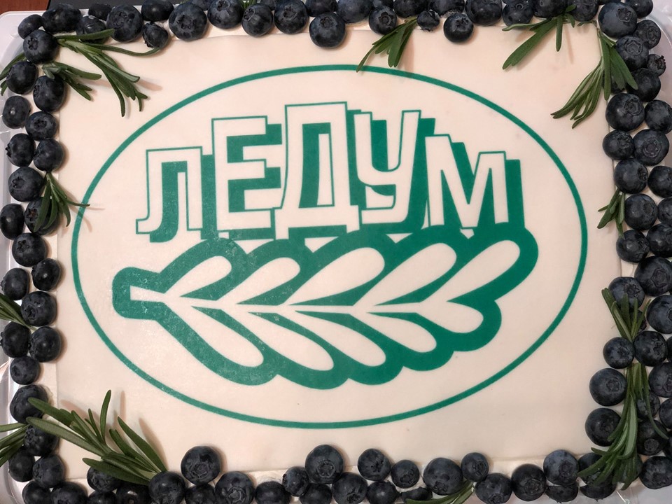 Ledum Ltd 25 years!